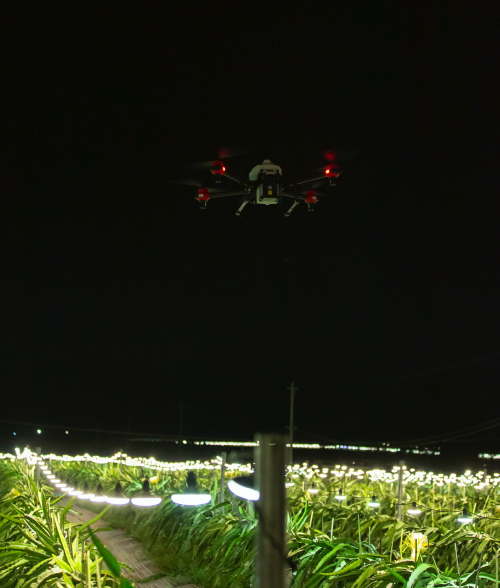 夜間水稻直播、果樹植保